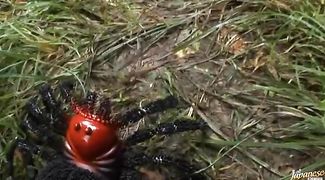 Lascivious beauty Suimire Matsu bends over for a vigorous fuck session