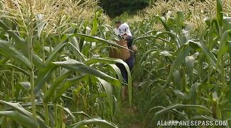 Lascivious hottie 's perfect nana makes a big schlong completely disappear